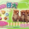 今ゲームボーイアドバンスのかわいい仔犬なかよしペットアドバンス2にいい感じでとんでもないことが起こっている？