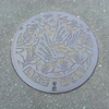 【マンホール蓋】浜松市・旧引佐町②(うすい)