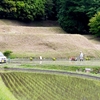 田園風景