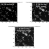 【CellProfiler】Example pipeline（Fruit fly cells）で画像解析の基礎を学ぶ①：画像のトリミング