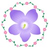 宙組退団者7名へのお花渡し シャーロック ホームズ 東京大千秋楽追記 宝塚は生きる糧