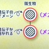 男の誕生秘話から愛と信頼