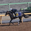 美浦・堀宣行厩舎の調教カレンダー［春分の日編］