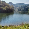 家浦一号池（香川県豊島）