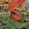 幕山公園の池（神奈川県湯河原）