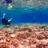 備瀬崎　スキューバダイビング　ログ427