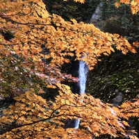 榛名山紅葉巡り⑤榛名神社＆榛名湖の思い出紅葉