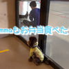 2021.1.23 【初めての雪】 Emmaは突撃派だと思っていたけど、割とビビリでした。　Uno1ワンチャンネル宇野樹より