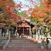 竹中稲荷神社の紅葉、見頃や現在の状況。