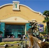 Walt Disney Studios