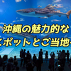 【旅行体験日記】［沖縄］沖縄の魅力的な観光スポットとご当地グルメ