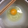卵、いつ入れる？