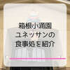 箱根小涌園ユネッサンでの食事・ランチは？館内と館外のレストラン8つ
