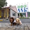 さいたま旅 2