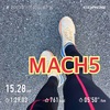 練習再開15.28km〜11月25日〜