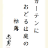 カーテンにおどるは庭の枯薄