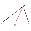 三角形の面積を２等分〔２〕