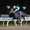 南関牡馬クラシック路線の大改正