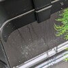 去年買い始めたメダカも残り1匹に