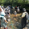 ガサガサ二連発