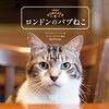 英首相官邸 VS 外務省のエゲツナイ戦い❓❗️猫同士のケンカがワロエナイ…(;ﾟ∀ﾟ)