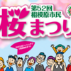 『第52回相模原市⺠桜まつり』4/5・4/6 開催 直近情報！(2025/4/2)