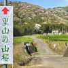 【茨城・桜川市】高峯の山桜2023が見ごろに！現在の開花状況や見どころポイントは？