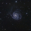 Ｍ１０１