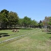 稚内森林公園を散歩？