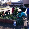 Flower bed - in winter,2015