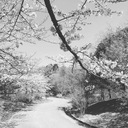 終活について私が知っている二、三の事柄
