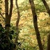 紅葉狩（13）