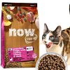 猫が夢中！ナウフレッシュキャットフード正直レビュー：食いつき、安全性、他社製品との違いを徹底解説