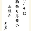 我こそは胸張り落葉の王様か