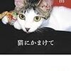 猫キチ対決させたい人たち