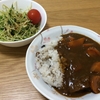 夏と言ったら、カレー🍛！