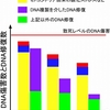 【コラム】癌になるのを防ぐ方法