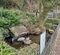 奥八女日向神郷 清水屋湧水の池（福岡県八女）