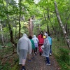 【放課後等デイサービス🌼カモミール 🌳西臼塚🌲】