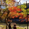 3連休は三河の地へ　～香嵐渓を堪能しました～