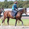 シルクなお馬さん（１歳・関東牡馬☆育成厩舎組）