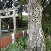 竹屋神社　参道