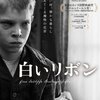 9月の月間映画大賞