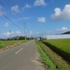 気になる…。