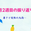 2025年7月　2週目の振り返り日記　