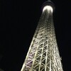 夜のツリーもなかなか＠東京