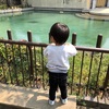 二児のパパの子育てとプチ旅行