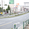 乞田川、せいせき桜まつり、でさくら巡り