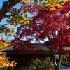 日本庭園