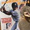 (●ﾟ◇ﾟ●)山田、史上初連続トリプルスリーに王手！今晩決まるか！？